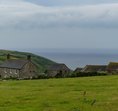 The Cottage Meadow