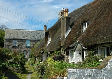 The Cottage Meadow