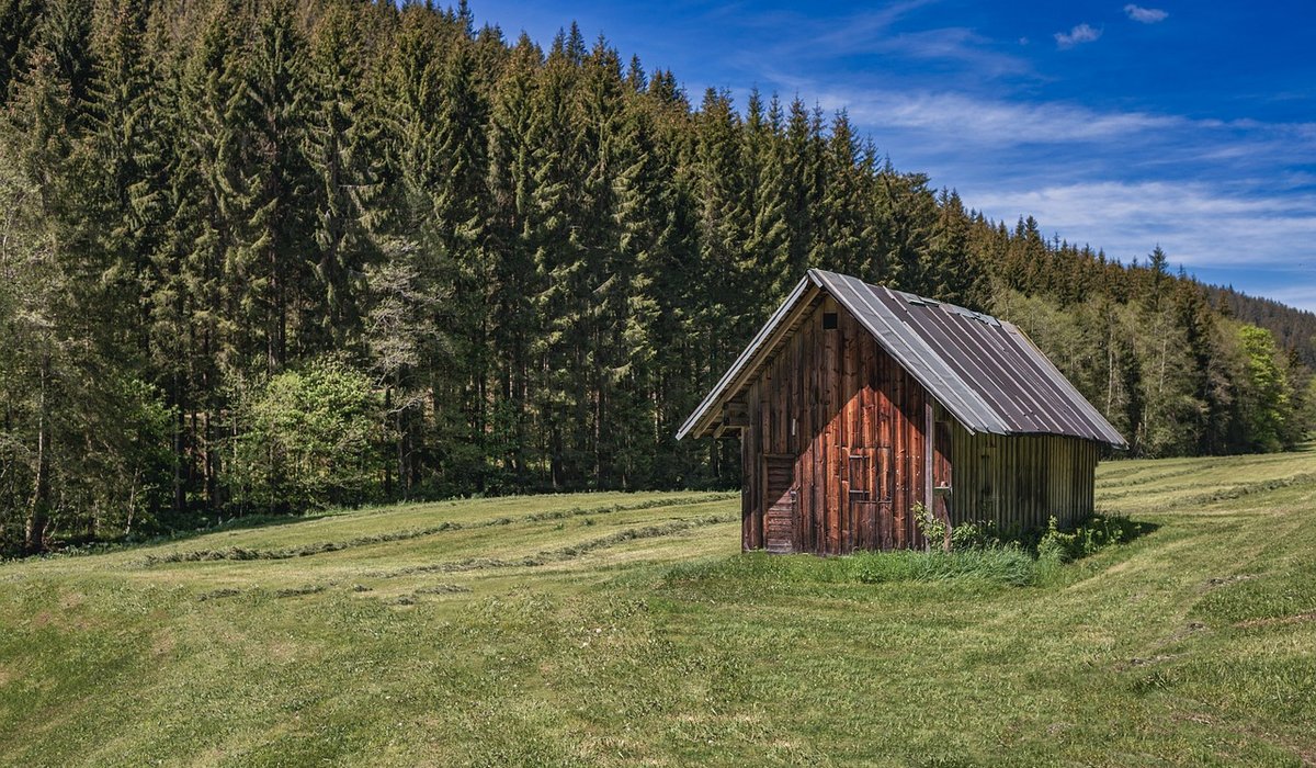 The Cottage Meadow