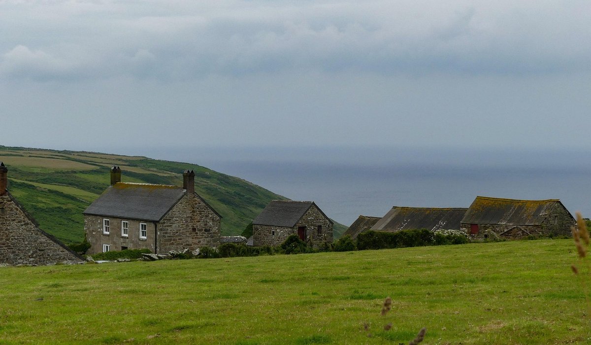 The Cottage Meadow