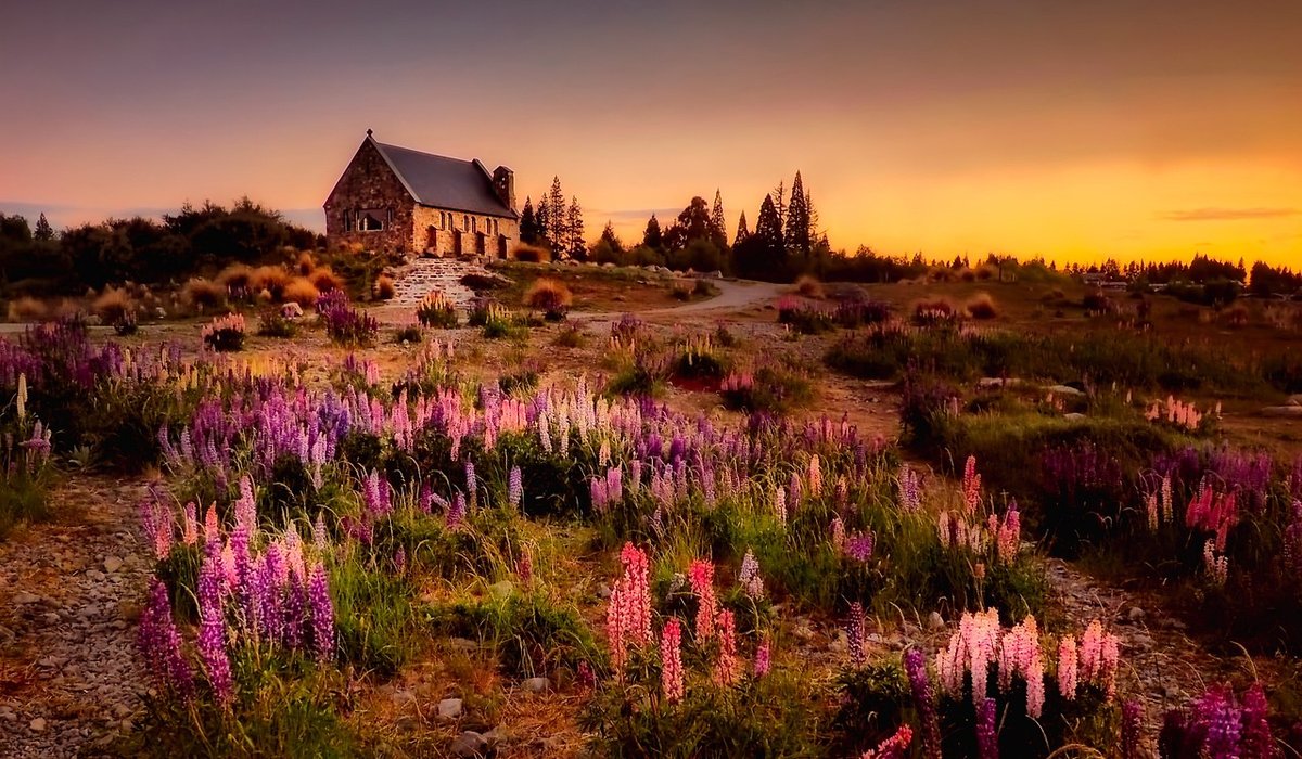 The Cottage Meadow